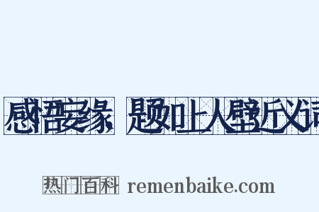 感悟妄缘，题如上人壁近义词是什么意思的图片